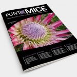 PUNTOMICE20