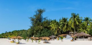 GAMBIA Y SENEGAL SE CONSOLIDAN PARA INCENTIVOS GAMBIA Y SENEGAL SE CONSOLIDAN PARA INCENTIVOS