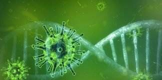 EL CORONAVIRUS AFECTA TAMBIÉN AL SECTOR MICE EL CORONAVIRUS AFECTA TAMBIÉN AL SECTOR MICE