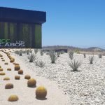 LosCabos2