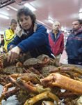 Marisco-gallego