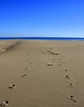 Olimpiadas-de-playa