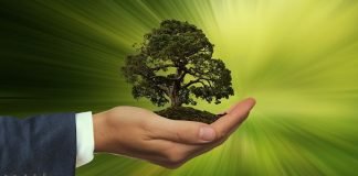 AMEX GBT AYUDA A SUS CLIENTES A COMPENSAR SU HUELLA DE CARBONO AMEX GBT AYUDA A SUS CLIENTES A COMPENSAR SU HUELLA DE CARBONO