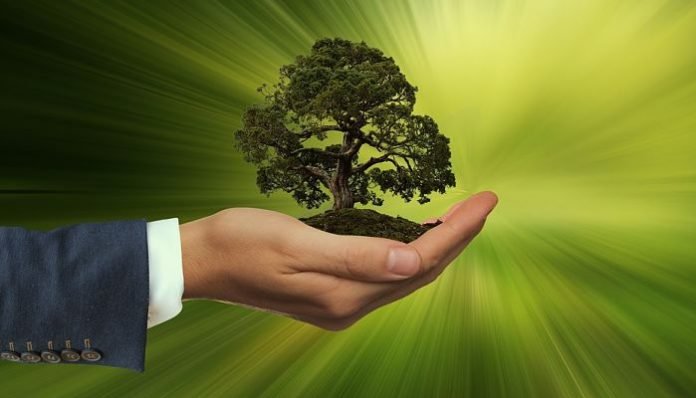 AMEX GBT AYUDA A SUS CLIENTES A COMPENSAR SU HUELLA DE CARBONO