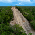 8. Coba