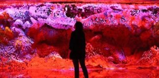 CASA BATLLÓ (ESPAÑA) OFRECE UNA EXPERIENCIA MULTIDIMENSIONAL CASA BATLLÓ (ESPAÑA) OFRECE UNA EXPERIENCIA MULTIDIMENSIONAL