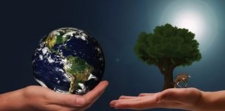 BIZAWAY COMPENSA LA HUELLA DE CARBONO DE LOS VIAJES DE NEGOCIOS BIZAWAY COMPENSA LA HUELLA DE CARBONO DE LOS VIAJES DE NEGOCIOS