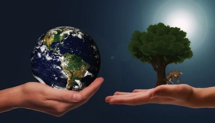 BIZAWAY COMPENSA LA HUELLA DE CARBONO DE LOS VIAJES DE NEGOCIOS
