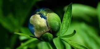 EL SECTOR MICE ASPIRA A LA NEUTRALIDAD DE CARBONO EN 2050 EL SECTOR MICE ASPIRA A LA NEUTRALIDAD DE CARBONO EN 2050