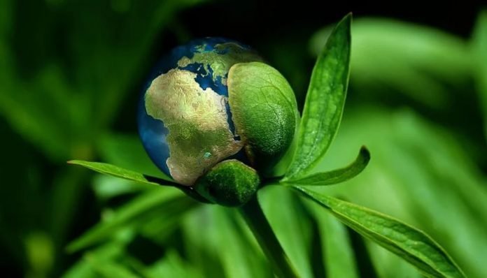 EL SECTOR MICE ASPIRA A LA NEUTRALIDAD DE CARBONO EN 2050
