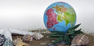 EN 2022 SE HARÁN VIAJES PROFESIONALES SEGUROS, SOSTENIBLES Y ECONÓMICOS EN 2022 SE BUSCARÁN VIAJES DE NEGOCIOS SEGUROS, SOSTENIBLES Y ECONÓMICOS