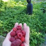 Retos de supervivencia