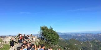 LAS EMPRESAS PUEDEN PROTEGER OSOS EN ASTURIAS LAS EMPRESAS PUEDEN PROTEGER OSOS EN ASTURIAS