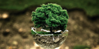 LA INDUSTRIA MICE QUIERE SER REFERENTE EN SOSTENIBILIDAD LA INDUSTRIA MICE QUIERE SER REFERENTE EN SOSTENIBILIDAD