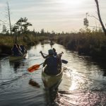 Kayak en el Parque Nacional de Everglades
