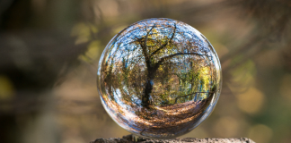 LAS AGENCIAS DE INCENTIVOS SE COMPROMETEN CON LA SOSTENIBILIDAD LAS AGENCIAS DE INCENTIVOS SE COMPROMETEN CON LA SOSTENIBILIDAD