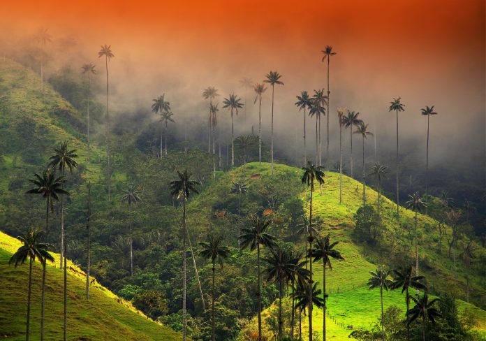 CALI Y PAISAJE CULTURA CAFETERO (COLOMBIA)