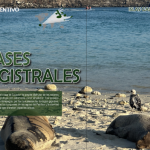 PORTADA PUTO INCENTIVO GALÁPAGOS