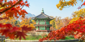 ASIA PROTAGONIZARÁ LA DEMANDA EN INCENTIVOS EN 2024 ASIA PROTAGONIZARÁ LA DEMANDA EN INCENTIVOS EN 2024