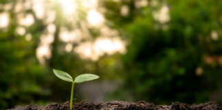 LAS ASOCIACIONES APUESTAN POR LA DIVERSIDAD, LA SOSTENIBILIDAD Y EL TALENTO LAS ASOCIACIONES APUESTAN POR LA DIVERSIDAD, LA SOSTENIBILIDAD Y EL TALENTO