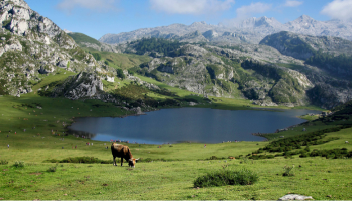 ASTURIAS LANZA NUEVA WEB PARA IMPULSAR EL MICE