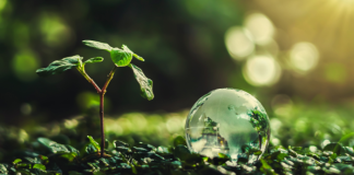 EMEA ES LA REGIÓN MÁS COMPROMETIDA CON LA SOSTENIBILIDAD EMEA ES LA REGIÓN MÁS COMPROMETIDA CON LA SOSTENIBILIDAD