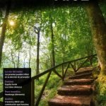 portada-punto-mice-36