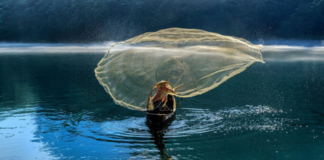 AMADEUS LANZA UNA HERRAMIENTA DE MEDICIÓN DE IMPACTO AMADEUS LANZA UNA HERRAMIENTA DE MEDICIÓN DE IMPACTO