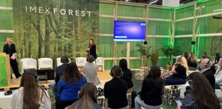 SIN PICOS EMOCIONALES Y ACCIONES POSTERIORES, LOS EVENTOS NO DEJAN HUELLA SIN PICOS EMOCIONALES Y ACCIONES POSTERIORES, LOS EVENTOS NO DEJAN HUELLA