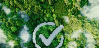 LA SOSTENIBILIDAD GANA PESO EN EL BUSINESS TRAVEL